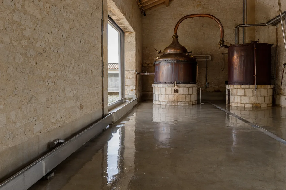 Effluents de distillerie : comment les chais charentais gèrent leurs eaux de process